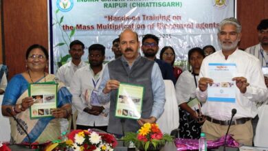 रायपुर : फसलों में बीमारियों के नियंत्रण के लिए जैव नियंत्रकों का उपयोग करें : डॉ. चंदेल