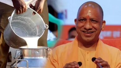 विशेष आर्टिकल- नंद बाबा दुग्ध मिशन: उत्तर प्रदेश में डेयरी क्रांति का नया अध्याय – किसानों की आय दोगुनी से आत्मनिर्भर ग्रामीण अर्थव्यवस्था तक