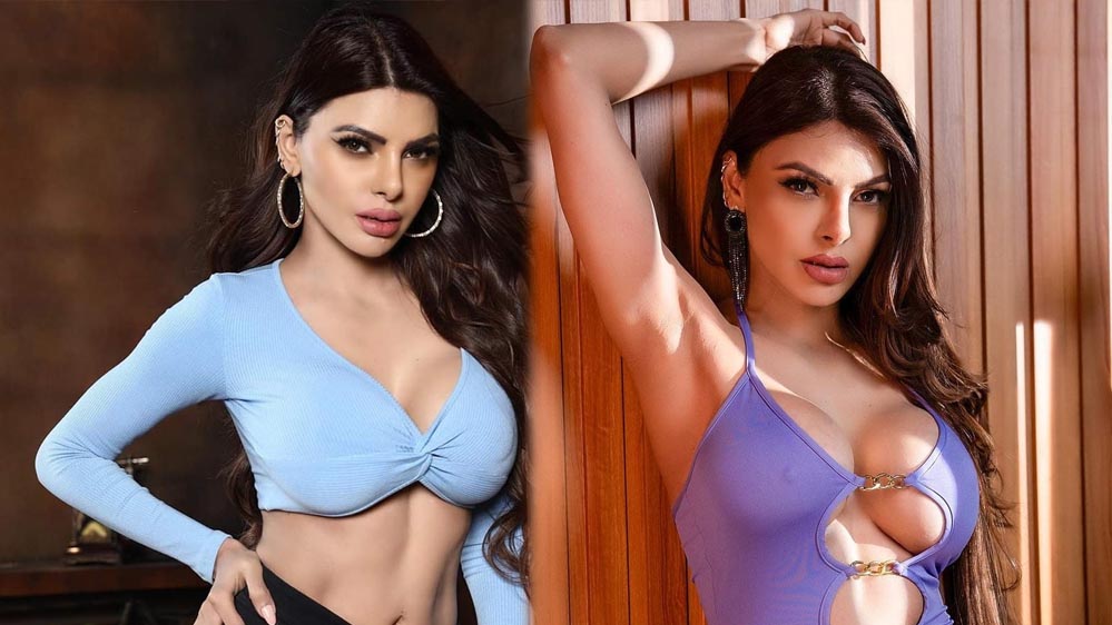 शर्लिन को ब्रेस्ट इम्प्लांट्स ने दिया दर्द, हटवाने का लिया बड़ा फैसला