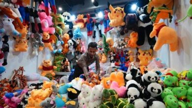 झांसी की वंदना के सपनों को ओडीओपी ने लगाए पंख, आईआईटीएफ में सॉफ्ट टॉयज की लगाएंगी प्रदर्शनी झांसी की वंदना के सपनों को ओडीओपी ने लगाए पंख, आईआईटीएफ में सॉफ्ट टॉयज की लगाएंगी प्रदर्शनी