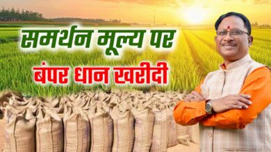 रायपुर : प्रदेश में 15 नवम्बर से समर्थन मूल्य पर धान खरीदी को लेकर तैयारियां पूरी