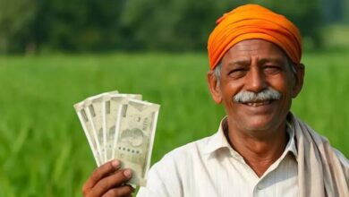 19 नवंबर को PM मोदी 10 करोड़ किसानों के खातों में ट्रांसफर करेंगे किसान सम्मान निधि की 21वीं किश्त