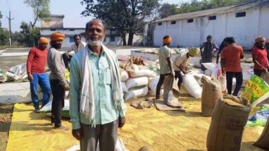 रायपुर : 3100 रुपये प्रति क्विंटल के समर्थन मूल्य पर धान खरीदी ने लौटाई किसानों की मुस्कान