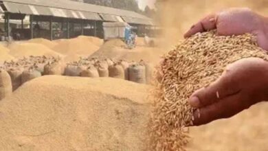 गौरेला पेंड्रा मरवाही : धान खरीदी के पहले दिन दो केंद्रों में आठ किसानों ने बेचा  506.80  क्विंटल धान