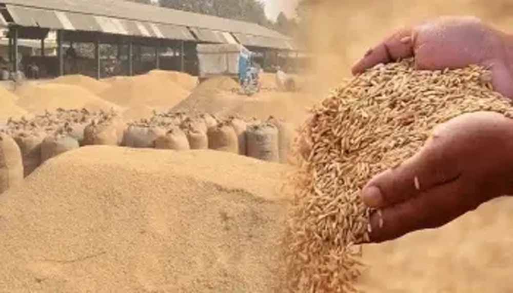 गौरेला पेंड्रा मरवाही : धान खरीदी के पहले दिन दो केंद्रों में आठ किसानों ने बेचा  506.80  क्विंटल धान