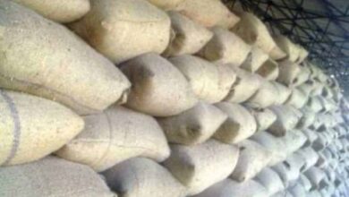 रायगढ़ में 30 प्रकरणों में एक करोड़ रुपए से अधिक मूल्य के 3,266 क्विंटल अवैध धान किया गया जब्त