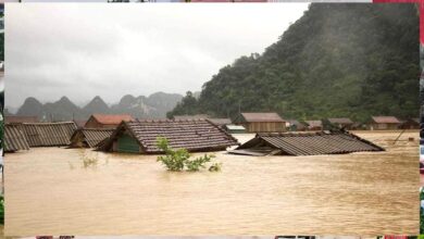 वियतनाम में बाढ़ का कहर: 67,700 से अधिक घर डूबे, अनाज और पशुओं पर भी संकट