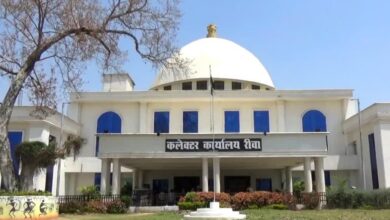 रीवा प्रशासन का खास ऑफर: बीएलओ और सरकारी कर्मचारियों को फ्री मूवी, डिनर और टाइगर सफारी टिकट रीवा प्रशासन का खास ऑफर: बीएलओ और सरकारी कर्मचारियों को फ्री मूवी, डिनर और टाइगर सफारी टिकट