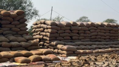 रायपुर : 17 व्यापारियों से 13 लाख रूपए का 622 क्विंटल पुराना धान जब्त रायपुर : 17 व्यापारियों से 13 लाख रूपए का 622 क्विंटल पुराना धान जब्त