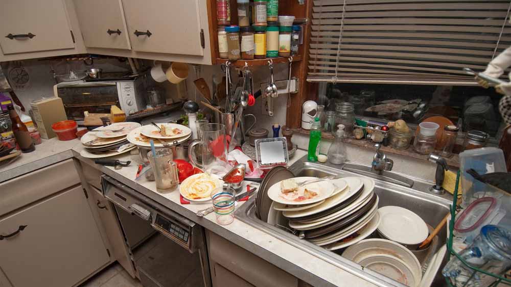 किचन में ये गलतियां कर सकती हैं नुकसान, बढ़ा सकती हैं दरिद्रता और बीमारियां किचन में ये गलतियां कर सकती हैं नुकसान, बढ़ा सकती हैं दरिद्रता और बीमारियां