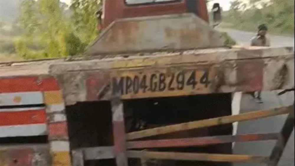 जबलपुर-अमरकंटक रोड पर भयानक हादसा: बाइक ट्राले में घुसी, पति-पत्नी समेत चार की मौत जबलपुर-अमरकंटक रोड पर भयानक हादसा: बाइक ट्राले में घुसी, पति-पत्नी समेत चार की मौत