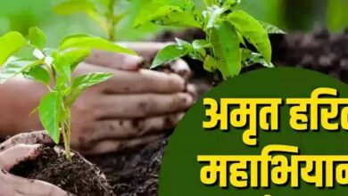 अमृत हरित महाअभियान के लिये संभागवार बैठकें, स्थानीय नर्सरियों को सुदृढ़ करने के निर्देश