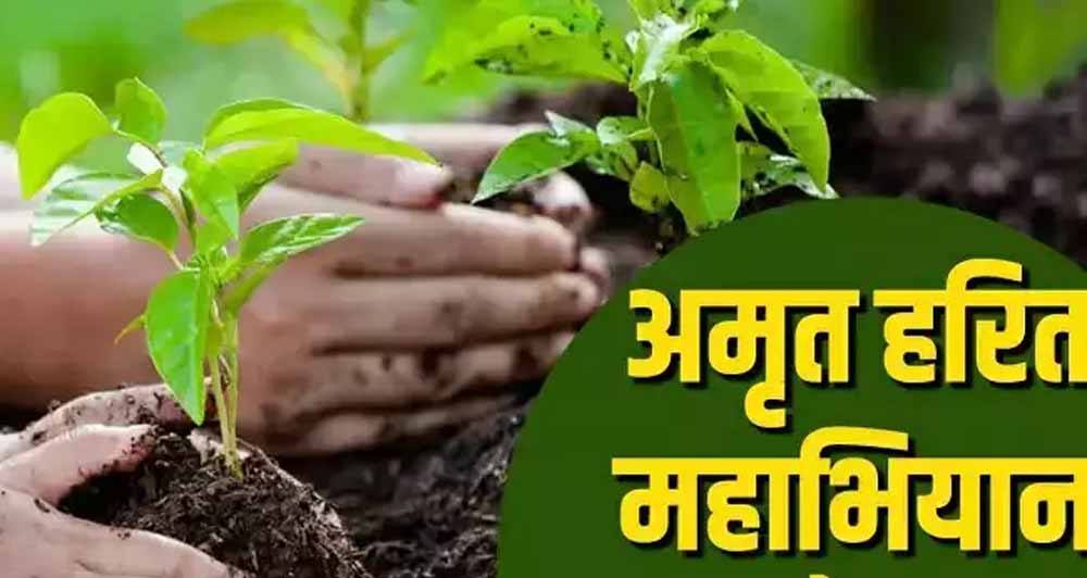 अमृत हरित महाअभियान के लिये संभागवार बैठकें, स्थानीय नर्सरियों को सुदृढ़ करने के निर्देश