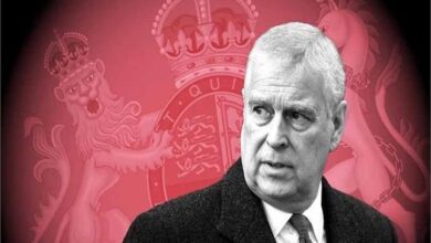 ब्रिटिश राजमहल में हड़कंप! प्रिंस एंड्रयू पर लिखी किताब ने खोले चौंकाने वाले राज़