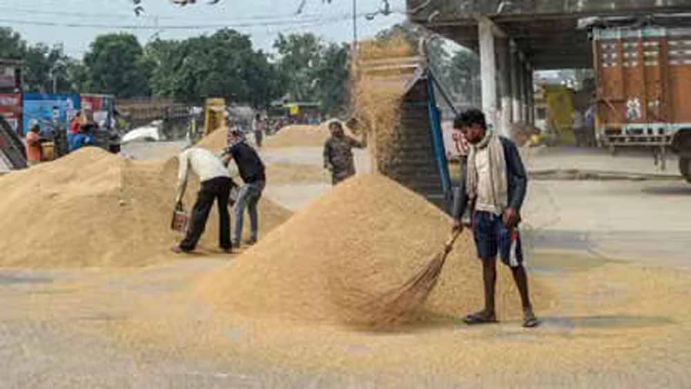 51 हजार से अधिक किसानों से किया गया धान क्रय