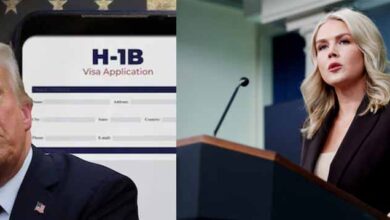 व्हाइट हाउस का बड़ा बयान: H1B पर ट्रंप की टिप्पणी को बताया गलतफहमी, विदेशी प्रतिभा को लेकर सरकार सकारात्मक
