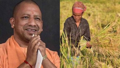 योगी सरकार ने रखा ध्यान तो उन्नत हुई खेती और खुशहाल हुआ किसान योगी सरकार ने रखा ध्यान तो उन्नत हुई खेती और खुशहाल हुआ किसान