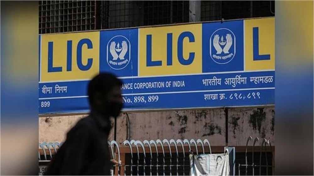 LIC का पोर्टफोलियो शिफ्ट: प्राइवेट बैंकों से दूरी, पब्लिक बैंकों पर बढ़ा भरोसा