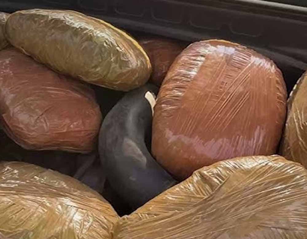 अवैध मादक पदार्थों के विरुद्ध मध्यप्रदेश पुलिस की प्रभावी कार्रवाई