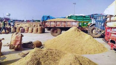 मंडी शुल्क की चोरी करने वाले के विरुद्ध कड़ी कार्रवाई के निर्देश मंडी शुल्क की चोरी करने वाले के विरुद्ध कड़ी कार्रवाई के निर्देश