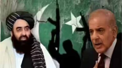 तालिबान का ताना पाकिस्तान को! कहा– 75 साल में कश्मीर नहीं ले पाए, अब क्या करेंगे?