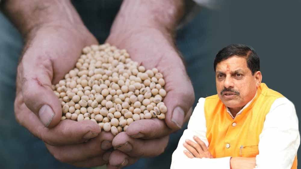 भावांतर योजना अपडेट: आज सोयाबीन का मॉडल रेट पहुँचा 4282 रुपये भावांतर योजना अपडेट: आज सोयाबीन का मॉडल रेट पहुँचा 4282 रुपये