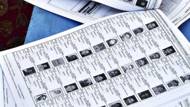 महाराष्ट्र में पिछले SIR की वोटर लिस्ट अब ऑनलाइन, सीमावर्ती जिलों के मतदाताओं को मिली राहत