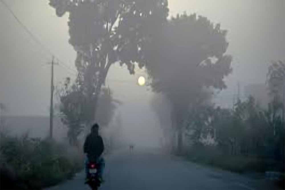 उत्तर भारत में ठंड का कहर शुरू! कोहरे की चादर से ढका उत्तर भारत, IMD ने जारी किया अलर्ट