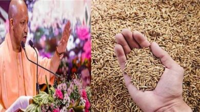 योगी सरकार का बड़ा तोहफा! किसानों और राइस मिलों को मिलेगी 1% रिकवरी छूट, 15 लाख लोगों को राहत