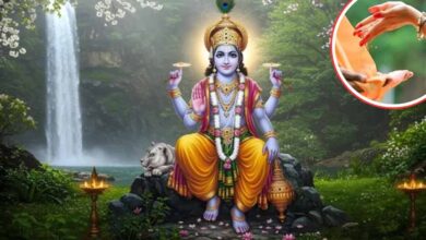 पौष पुत्रदा एकादशी पर इन चीजों का दान करना पड़ सकता है भारी, घर की सुख-शांति हो सकती है प्रभावित