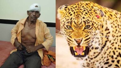 ग्रामीण पर तेंदुए का हमला, जंगल से नीम की पत्तियां लेने गया था