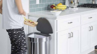 किचन में रखा डस्टबिन बन सकता है नेगेटिविटी की वजह? जानिए वास्तु का सच