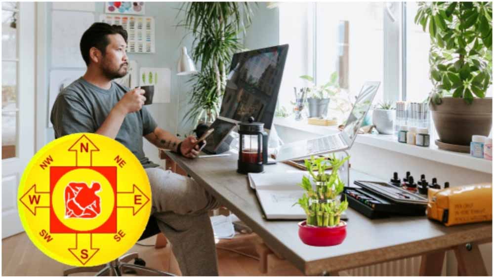 ऑफिस टेबल पर ये पौधे ला सकते हैं बदकिस्मती! प्रमोशन रुकने के पीछे हो सकता है इनका हाथ ऑफिस टेबल पर ये पौधे ला सकते हैं बदकिस्मती! प्रमोशन रुकने के पीछे हो सकता है इनका हाथ