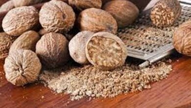 लोन की टेंशन दूर! जानें जायफल से धन खुलने का असरदार उपाय