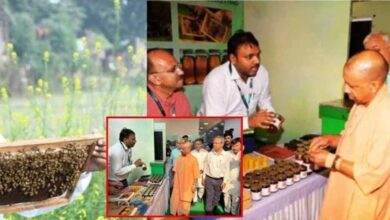 बाराबंकी की शहद उत्पादक मधुमक्खीवाला फर्म को मिली ग्लोबल पहचान, न्यूज़ीलैंड के प्रतिनिधि दल ने किया निरीक्षण