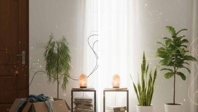 घर में फैला क्लटर बढ़ा रहा है तनाव? अपनाएं ये आसान वास्तु उपाय