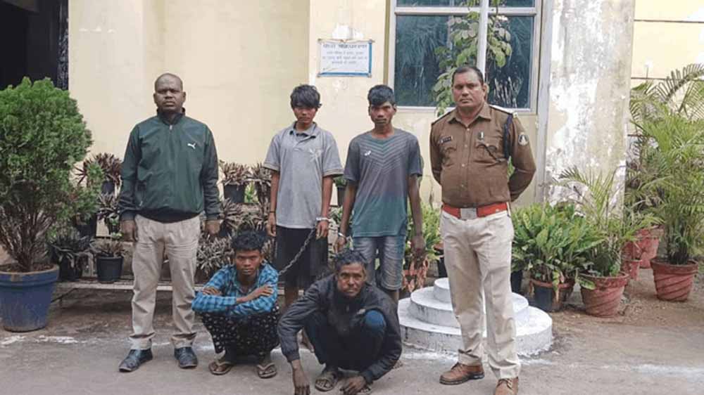 जंगली सुअर के शिकार में खुद ही बन गए शिकार, झाड़ियों में छिपाए शव जंगली सुअर के शिकार में खुद ही बन गए शिकार, झाड़ियों में छिपाए शव