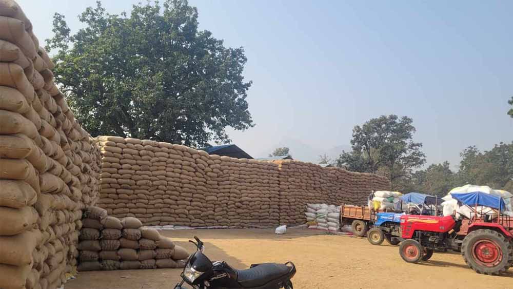 बफर लिमिट पार, मिलर नहीं उठा रहे धान, खरीदी केंद्रों पर संकट बफर लिमिट पार, मिलर नहीं उठा रहे धान, खरीदी केंद्रों पर संकट