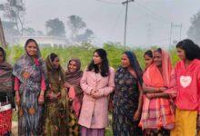 सीएम योगी का विजन : मोरिंगा से आत्मनिर्भर बन रहीं यूपी की बेटियां