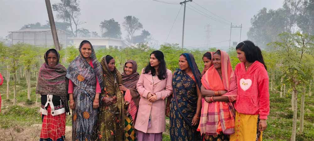 सीएम योगी का विजन : मोरिंगा से आत्मनिर्भर बन रहीं यूपी की बेटियां