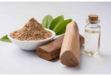 घर में चंदन रखने के चमत्कारी फायदे, लेकिन इन वास्तु नियमों की अनदेखी पड़ सकती है भारी