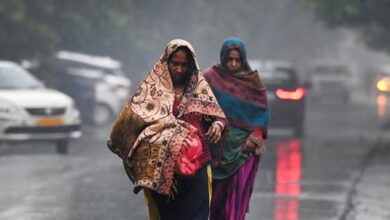 मध्य प्रदेश में अगले 2 दिन कोल्ड वेव का अलर्ट, बड़वानी में भगवान का अभिषेक, सीहोर में ओस की परत