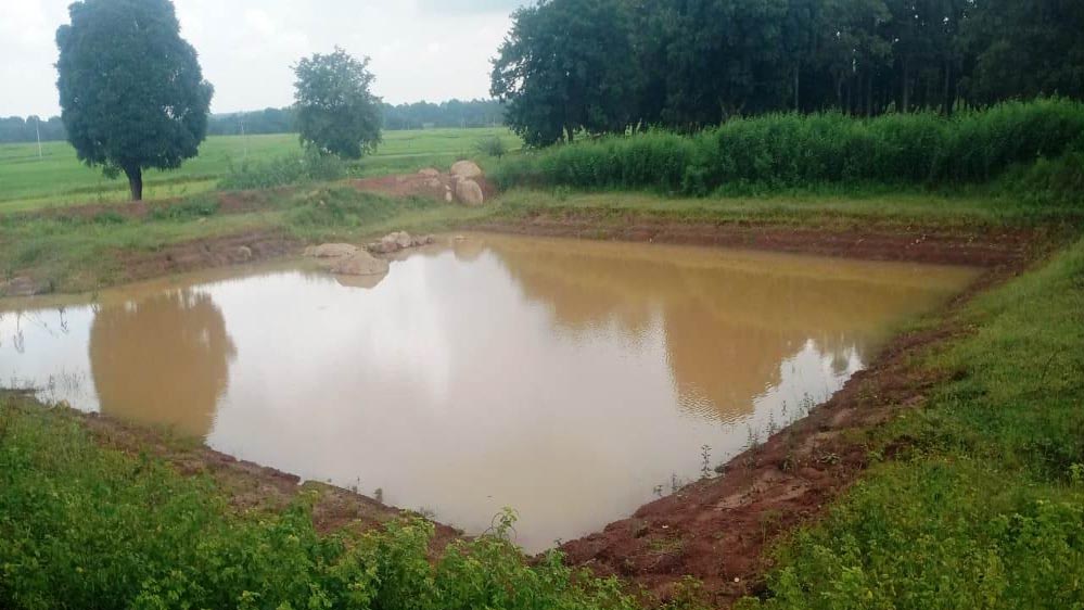 रायपुर : डबरी निर्माण से ग्रामीण आजीविका को मिल रही नई दिशा