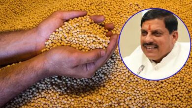 मोहन सरकार के दो साल: मध्य प्रदेश में खाद्यान्न उत्पादन में रिकॉर्ड 55 लाख टन की वृद्धि, खेती में नया कीर्तिमान