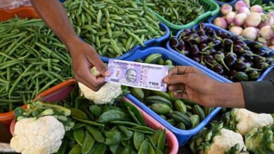 मध्य प्रदेश–राजस्थान समेत 10 राज्यों में महंगाई घटी, नवंबर में खुदरा दर 0.71% पर