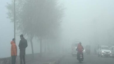 मध्यप्रदेश में शीतलहर का असर: भोपाल-ग्वालियर समेत 22 जिलों में घना कोहरा, ट्रेनों और फ्लाइट में देरी