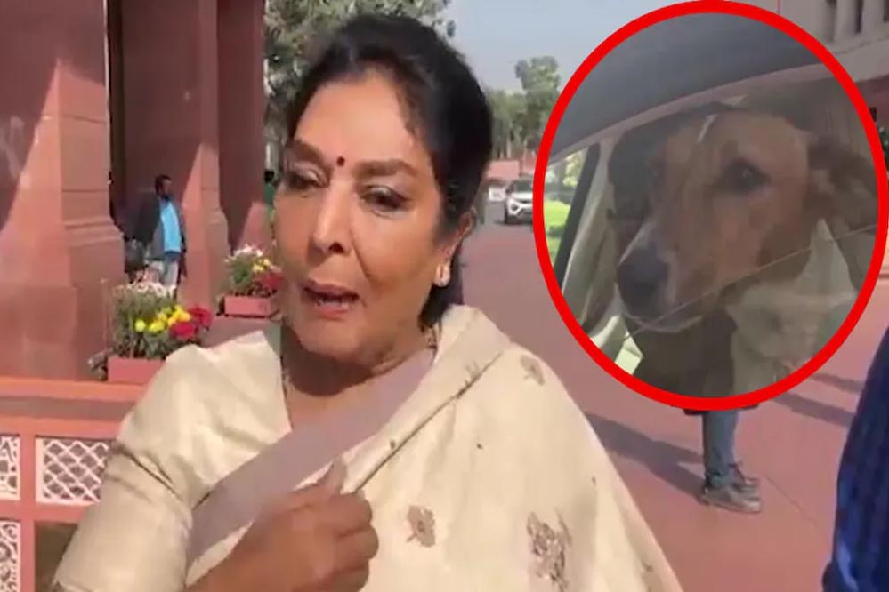 संसद में कार में पालतू कुत्ता लेकर पहुंचीं रेणुका चौधरी, बोलीं- ‘अंदर वाले काटते हैं, मेरा कुत्ता नहीं’