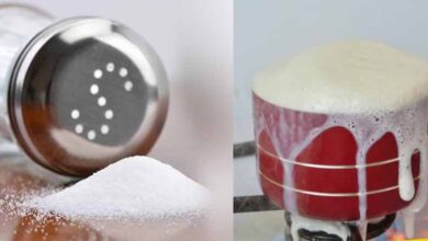 किचन में बार-बार नमक या दूध गिरना शुभ या अशुभ? दोष से बचने के लिए तुरंत अपनाएं ये उपाय