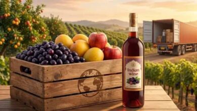 भारतीय वाइन की ग्लोबल छलांग: अब अंगूर नहीं, जामुन और आम से बन रही खास ड्रिंक्स