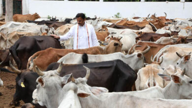 विकसित भारत का कृषि मॉडल: गौ-आधारित प्राकृतिक खेती और स्वस्थ जीवन